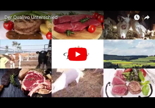 Der QualivoUnterschied Qualivo Deutschland GmbH